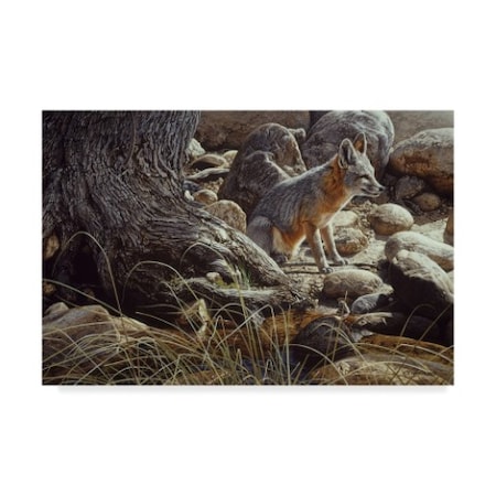 Ron Parker 'Desert Respite Kit Fox' Canvas Art,22x32